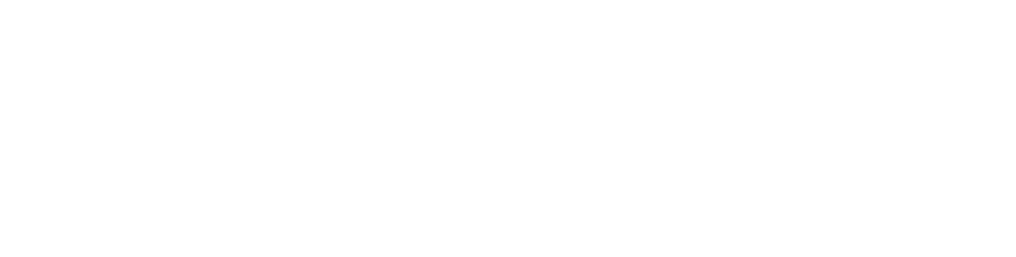 TRANSLAVAL LOGO